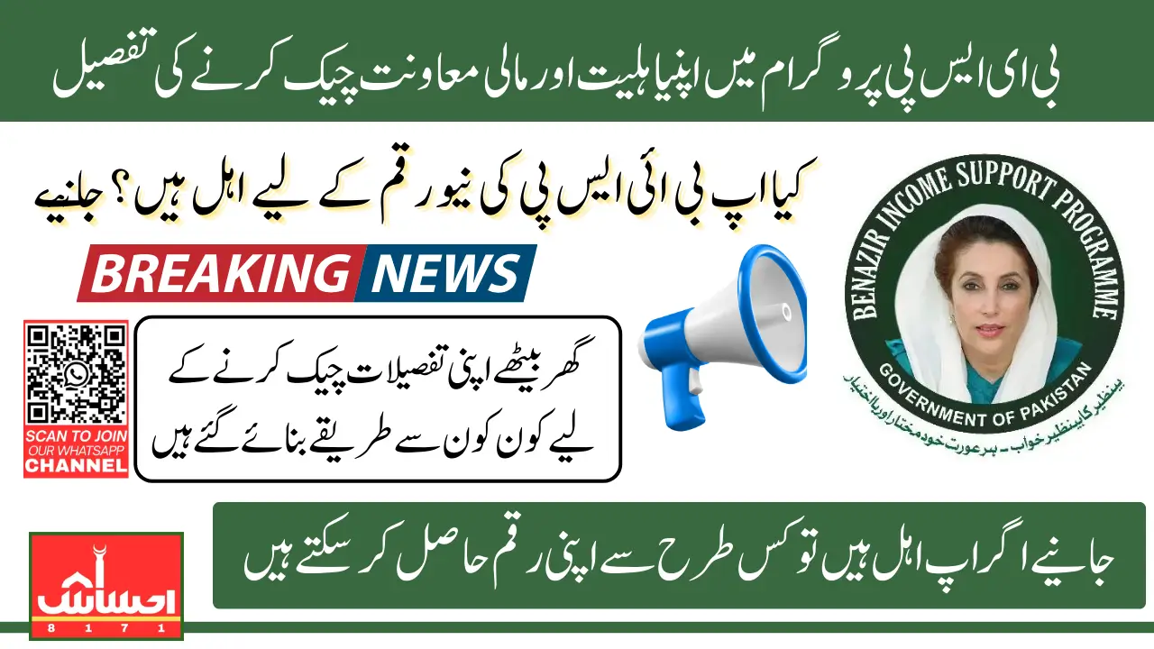 BISP 8171 Payment Eligibility Check Know Full Guide Of Online And Offline Methods 2025