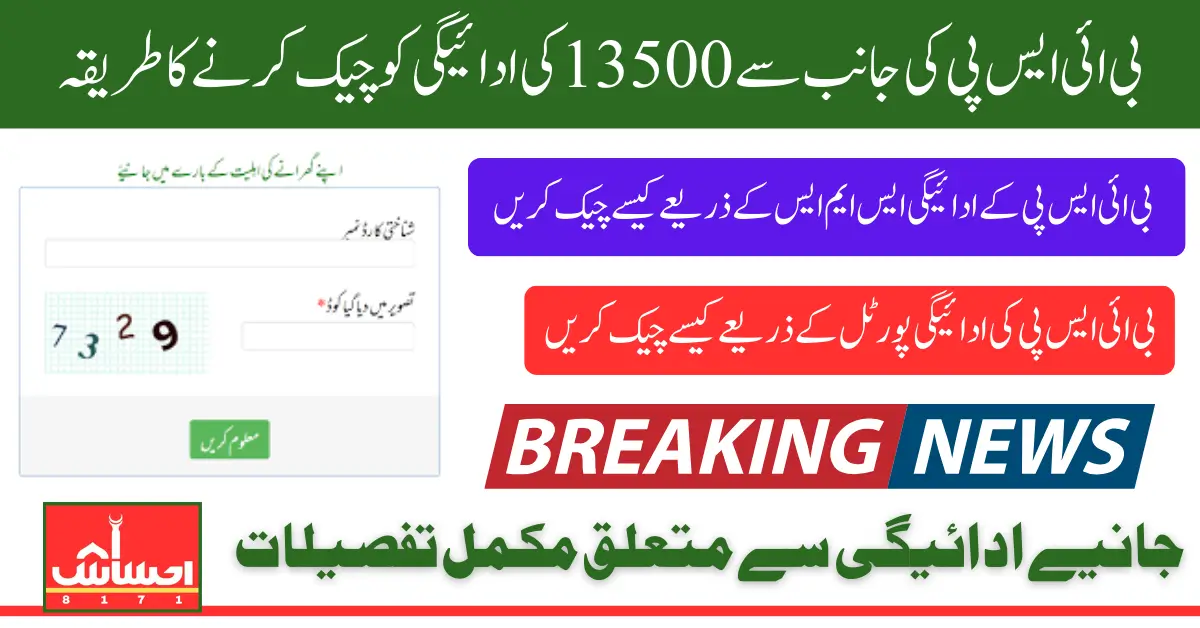 BISP 8171 Web Portal 2025 Payment Updates Status Check And Who Is Eligible