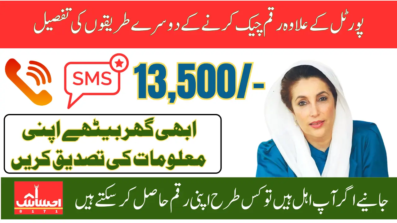 No Internet? No Problem! Check BISP 13500 Payment 2025 Via SMS Or Helpline