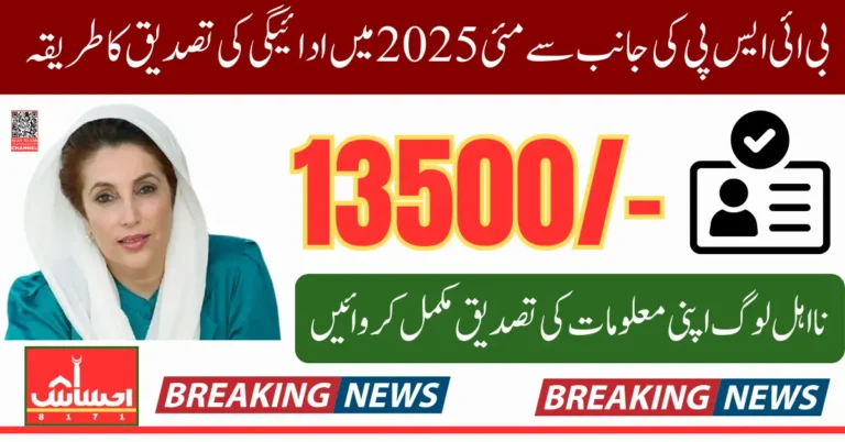 BISP 8171 May 2025 Payment Reverification Start Through Tehsil Office Know Full Details