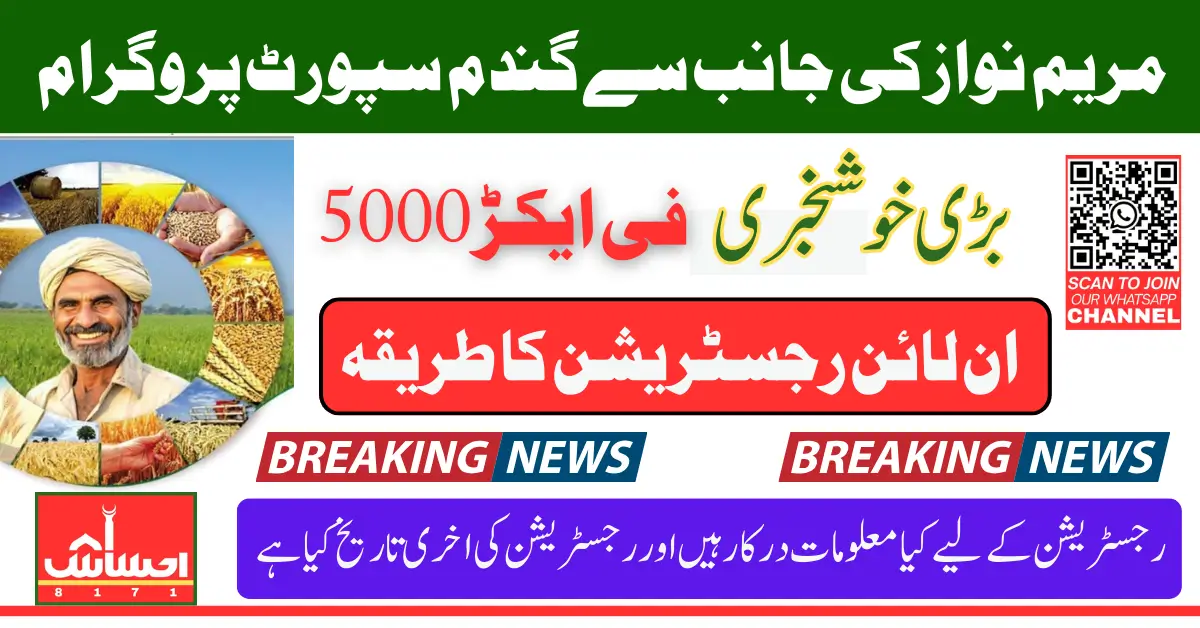 CM Wheat Support Program Apply Online And Get 5000 Per Acer By Maryam Nawaz