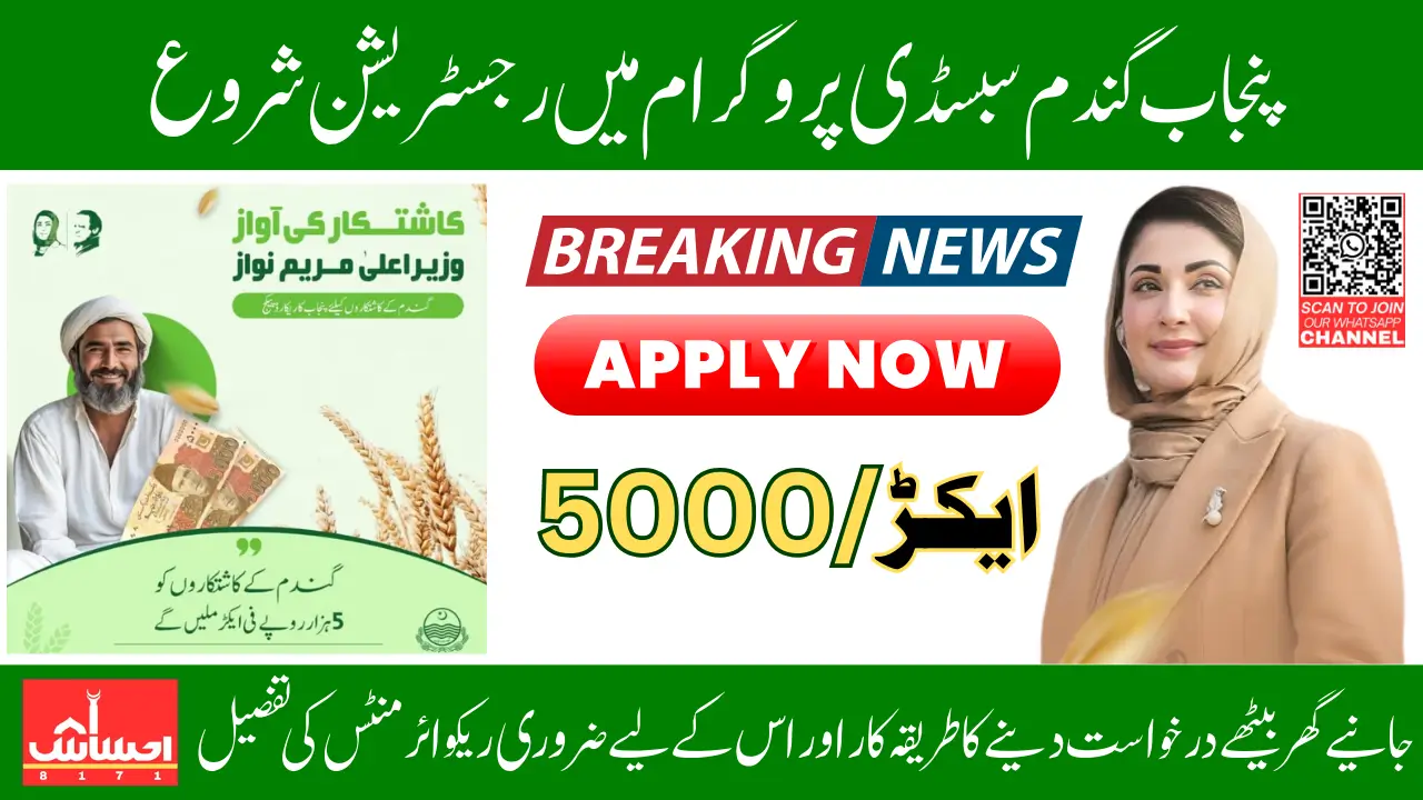 Punjab 2025 Wheat Subsidy Program Latest Update About Requirements And Registration