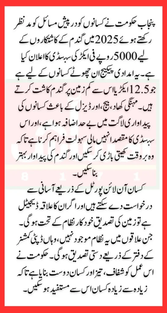 Punjab Farmers Wheat Subsidy For Farmers 5000 Per Acre To Compensate For Loss