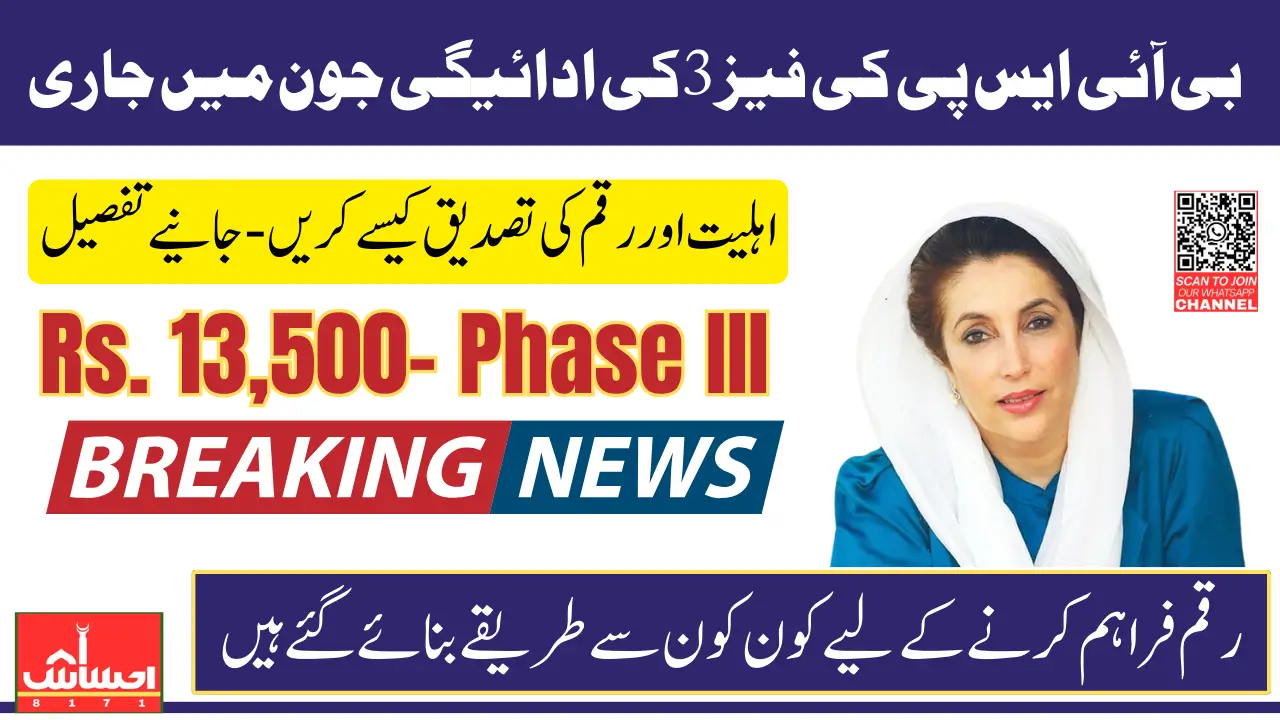 BISP 8171 June 2025 Payment Check Through SMS And Registered Agents