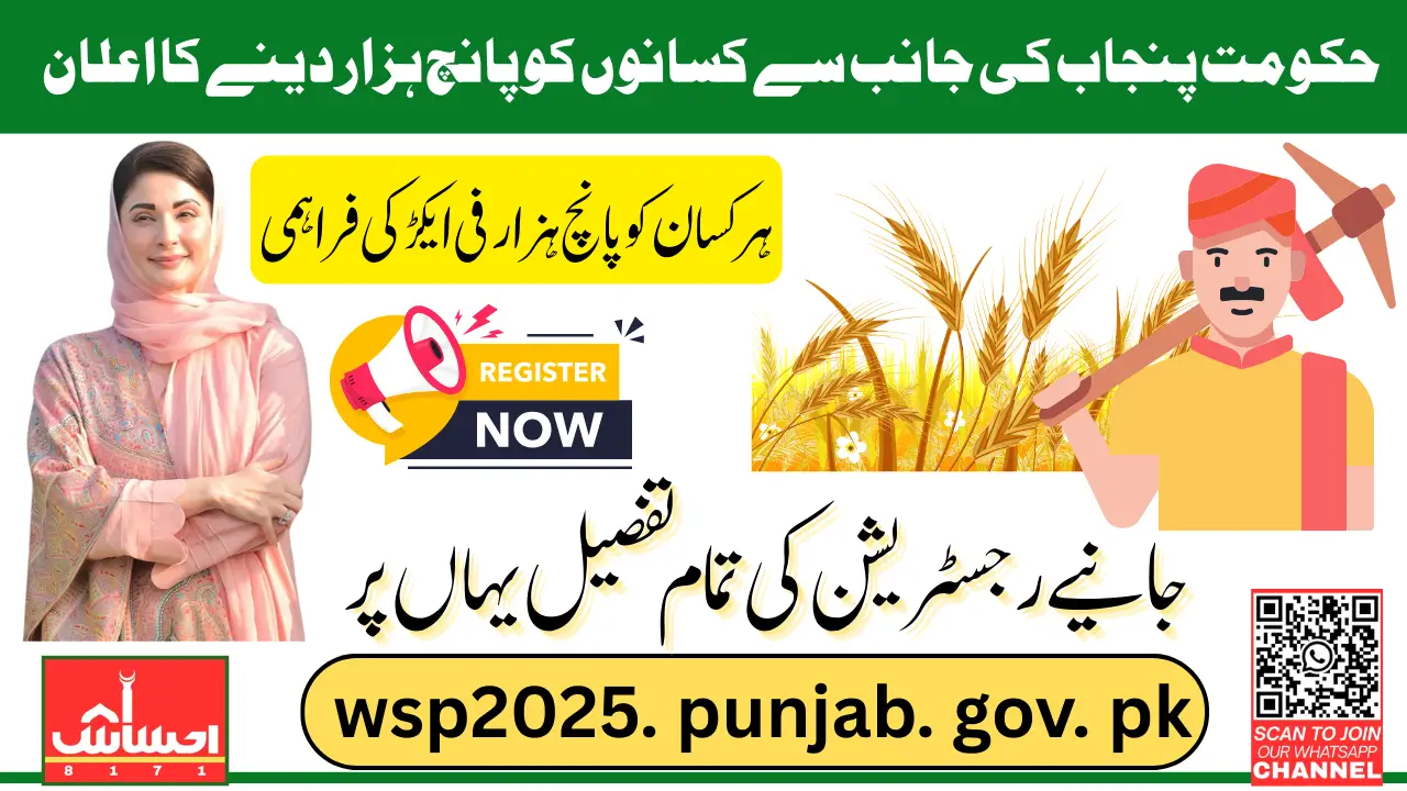 Punjab Wheat Program Registration Process Via WSP2025.Punjab.Gov.PK To Receive 5000/Acre