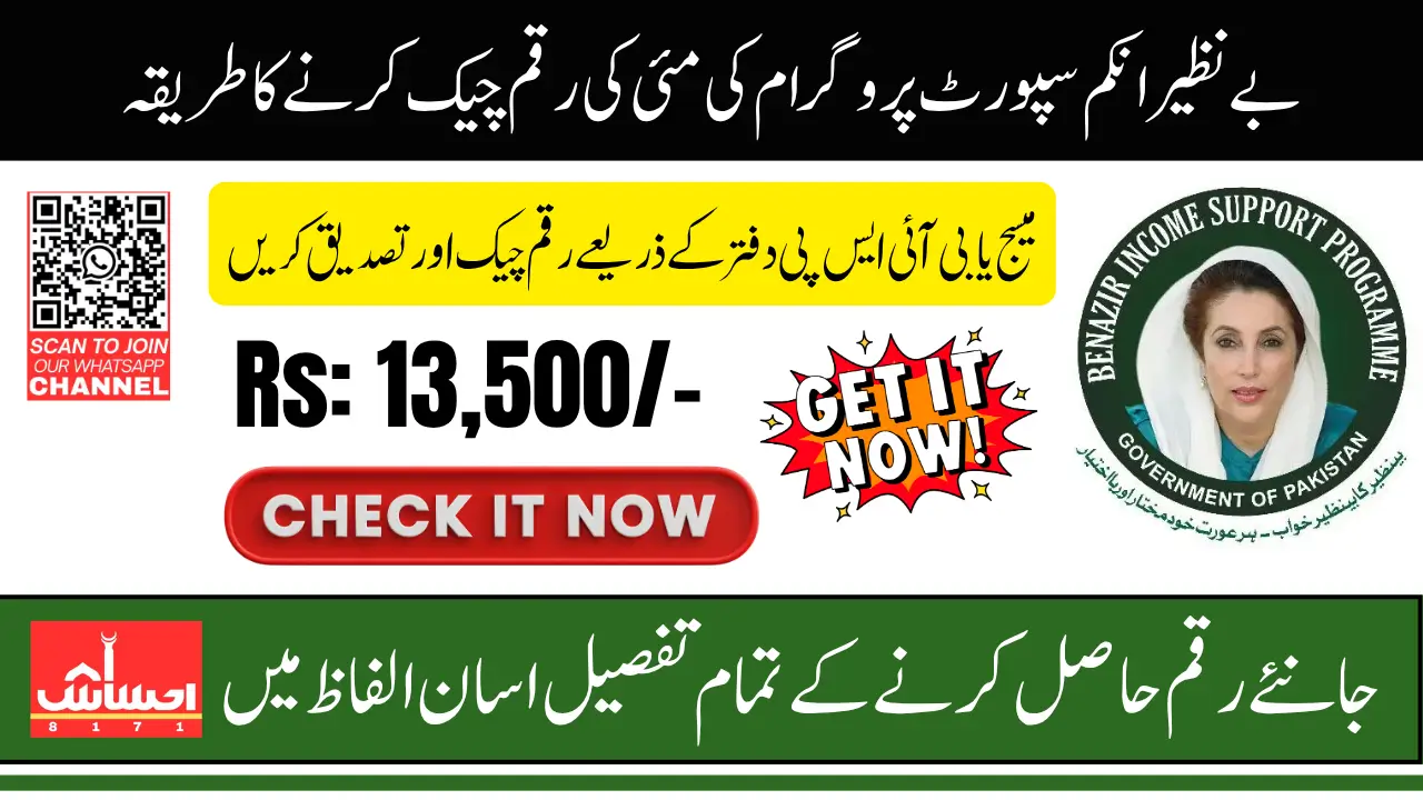 BISP 2025 Payment Offline Check Using CNIC 8171 SMS And Tehsil Office Latest Update