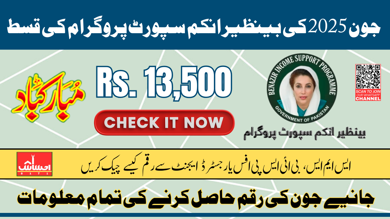 How To Check BISP 8171 June 2025 Payment Easily By CNIC And Receive 13500 Know Complete Guide