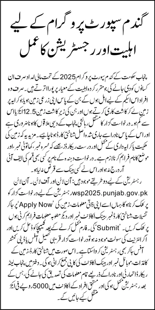 Eligibility Criteria For CM Punjab Wheat Support Program Payment Know Complete Details