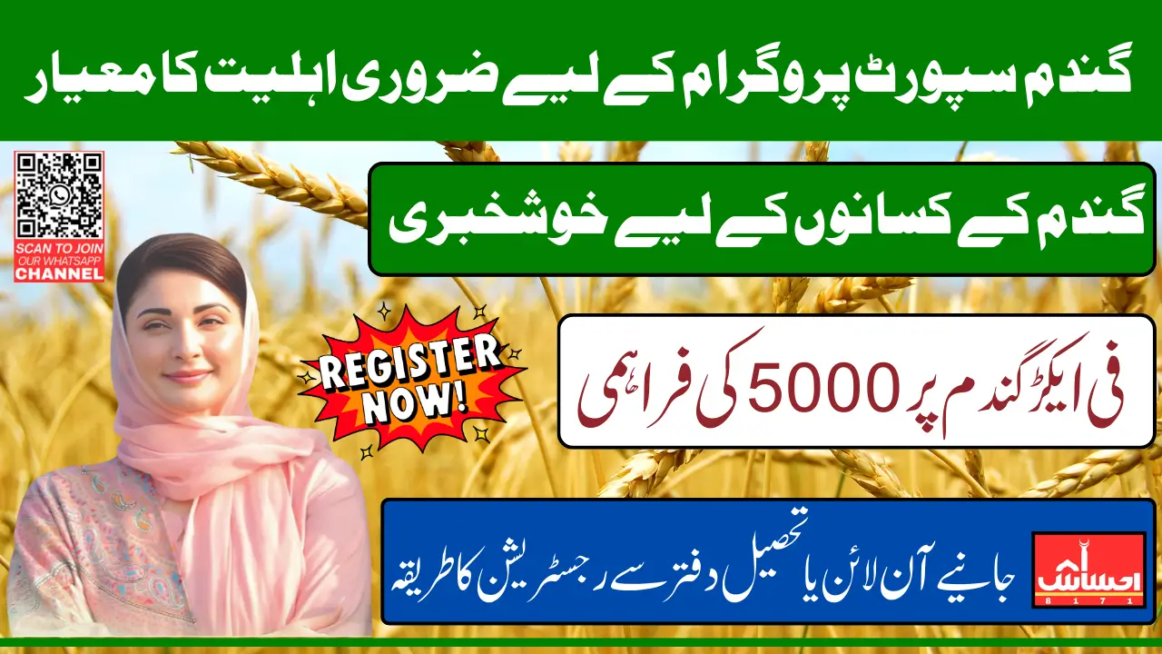 Eligibility Criteria For CM Punjab Wheat Support Program Payment Know Complete Details